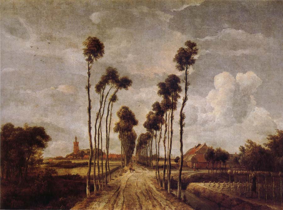 Avenue at Middelharnis